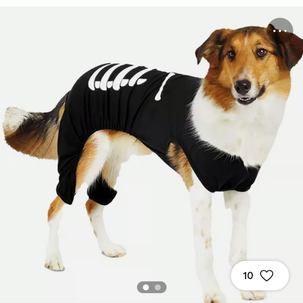 Target Black Skeleton Dog Costume